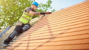 Best Rubber Roofing (EPDM, TPO)  in Rogers, MN