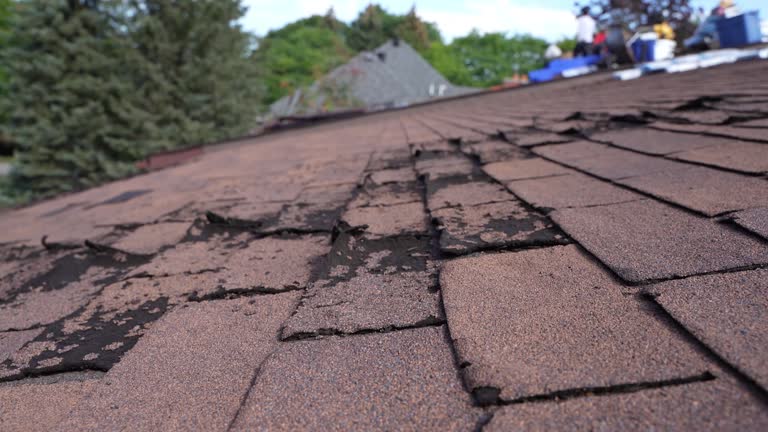 Best Gutter Replacement  in Rogers, MN