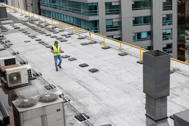 Best Solar Panel Roofing Installation  in Rogers, MN