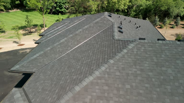 Best Roof Coating and Sealing  in Rogers, MN