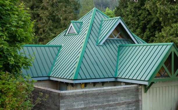 Best Steel Roofing  in Rogers, MN