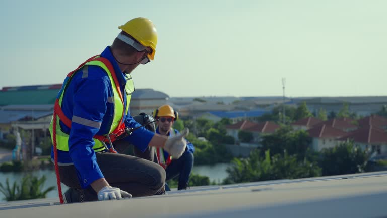Best Sheet Metal Roofing  in Rogers, MN