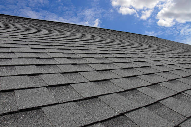  Rogers, MN Roofing Service Pros